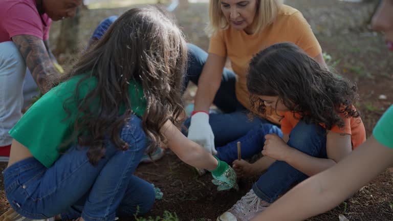 How Our Tree Care Process Works  in  Hurst, TX